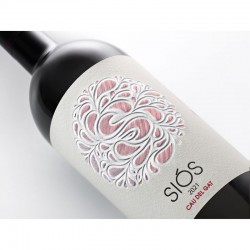 Red wine Siós Cau del Gat 2021 | Costers del Sió Winery