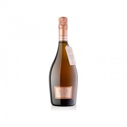 Siós Brut Rosé | Lote de vinos para  regalar