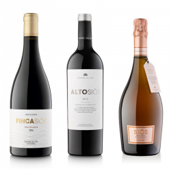 Lote de 3 vinos con Aceite Oliva Bellmunt | Bodegas Costers del Sió