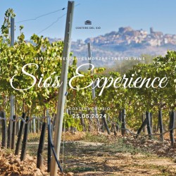 SOLD OUT 25-05-2024 Visit the winery Siós Experience