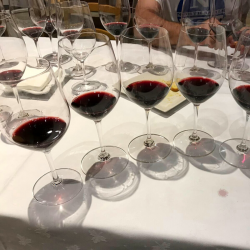 Tast de vins a Costers del Sió | Siós Experience
