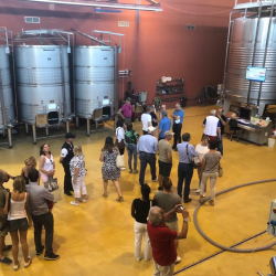 Visitar Bodega Costers del Sió | Siós Experience