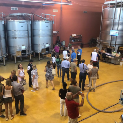 26-07-2025 Visit the winery Siós Experience