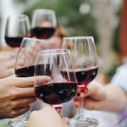27-09-2025 SOLD OUT Visit the winery Siós Experience