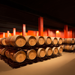 29-11-2025 Visit the winery Siós Experience