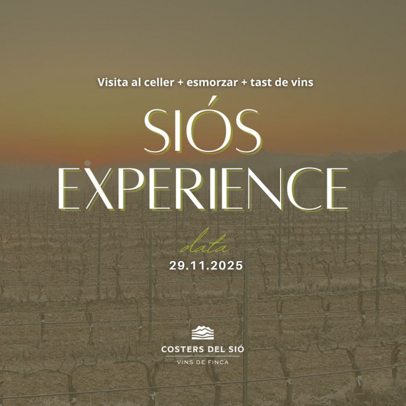 29-11-2025 Visit the winery Siós Experience