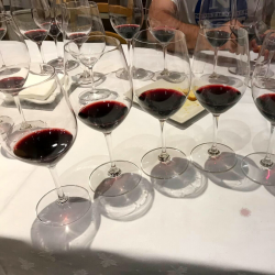 SENSE DATA - Visita al celler Siós Tour