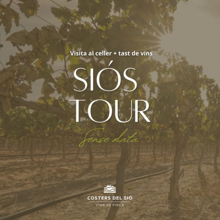 Vista Celler Costers del Sió | Siós Tour | Enoturisme