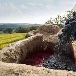 Trull de pedra del segle XII | Visitar celler Siós Experience