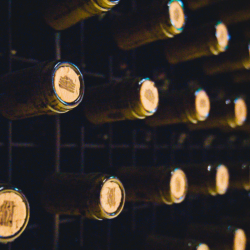 Botellas vino Costers del Sió | Siós Experience