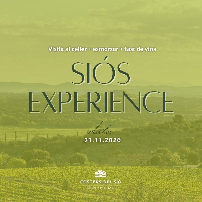 Vista Celler Costers del Sió 21-11-2026 | Siós Experience | Enoturisme | Tast de vins