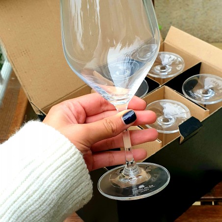 12 copas de vino Costers del Sió