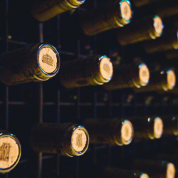 Tast de vins a Costers del SIó | Siós Experience