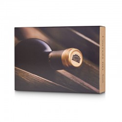 Cardboard gift case for 4 or 5 bottles of wine | Costers del Sió Winery | Item EC01