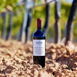 Siós Nature Organic Red Wine | DO Costers del Segre