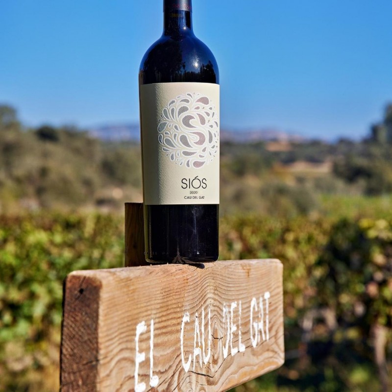 Crianza Wine Siós Cau del Gat 2021 | Wine Bottles Costers del Sió