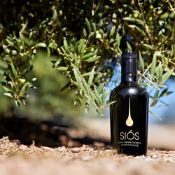 Extra Virgin Olive Oil Cold Pressed 0.5 Glass Bottle EVOO